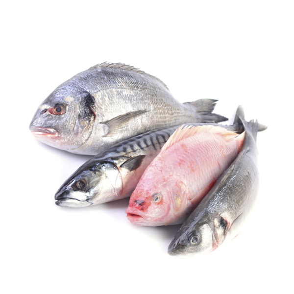 Pesce Fresco