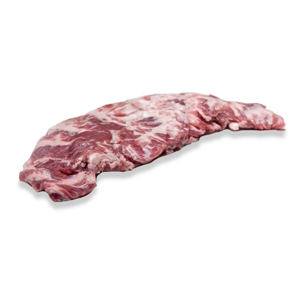Pluma iberica