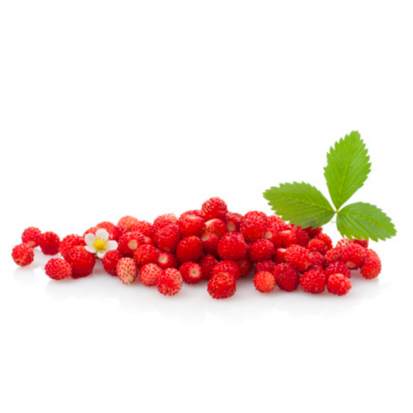 Polpa di frutta surgelata