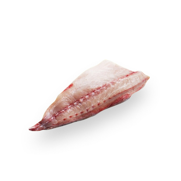 Ricciola hamachi