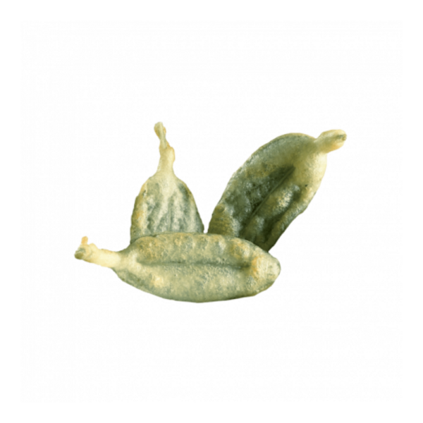 Salvia in pastella