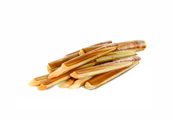 Cannolichio