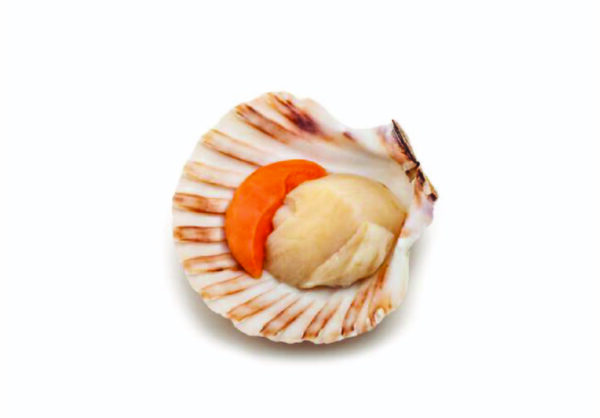 Cappasanta